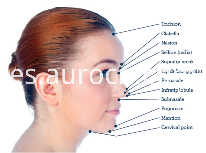 relleno de nariz nose filler